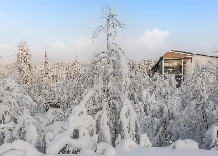 Tievan Aurinkorinne Dina By Interhome Сasa de vacaciones *